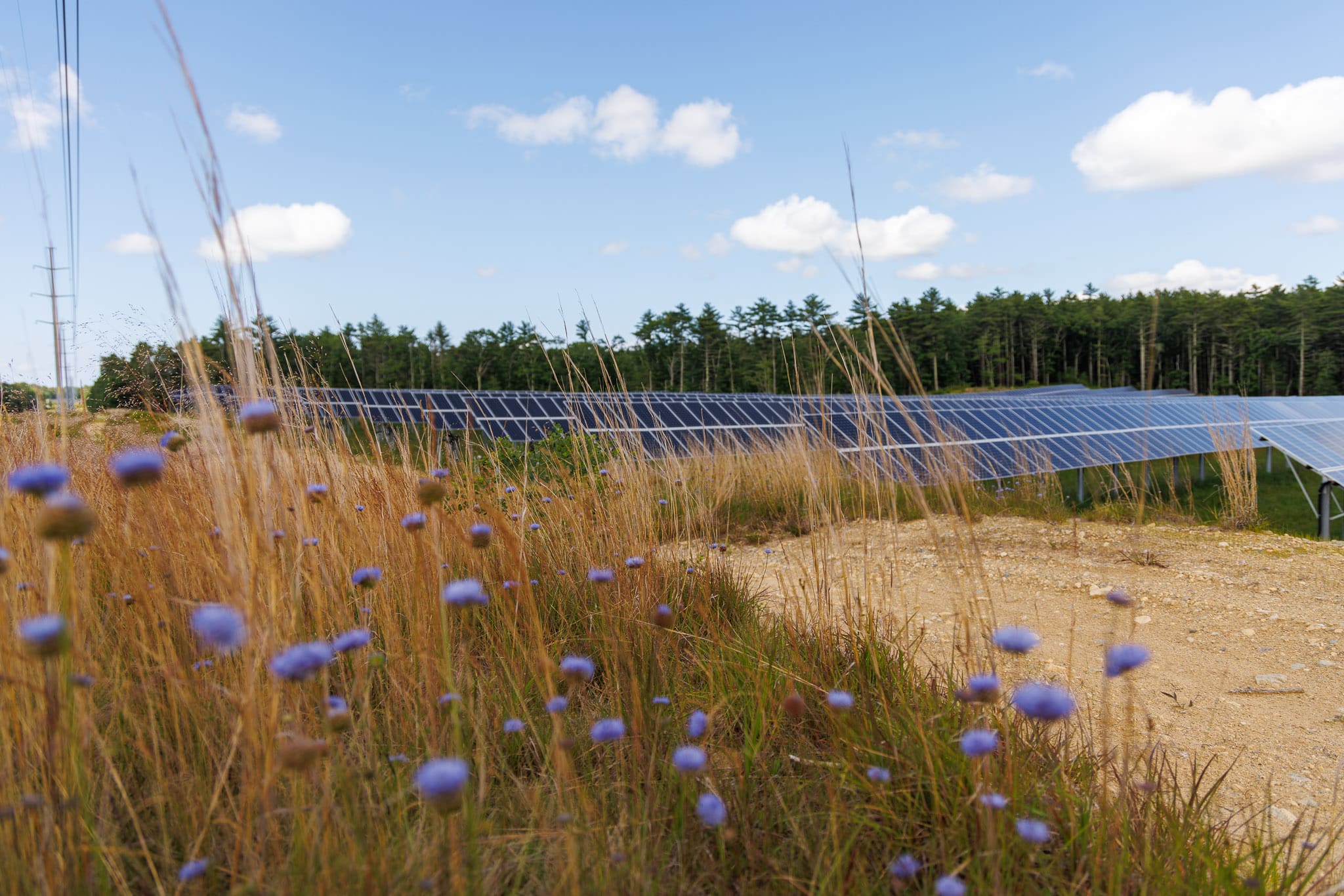 Godfrey solar 3146