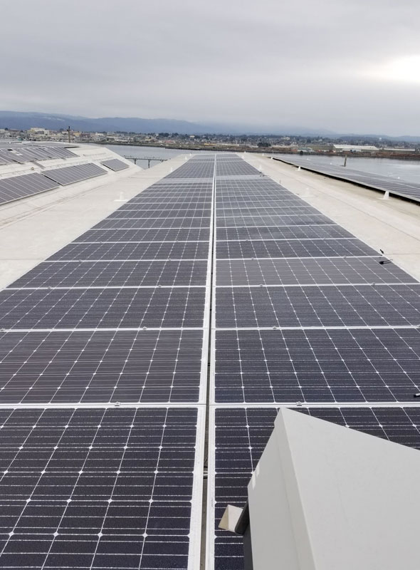 Row of solar panels